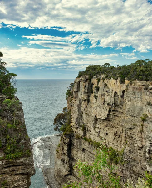 Rugged Coast Tasmania Showing Cliffs Worn Away Time Produce Stark — Stock Photo, Image