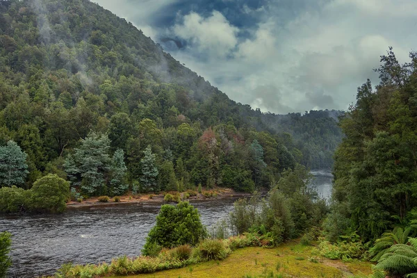 Eine Wunderschöne Flussschlucht Tasmanien Australien Mit Herbstlichem Laub Und Nebel — Stockfoto