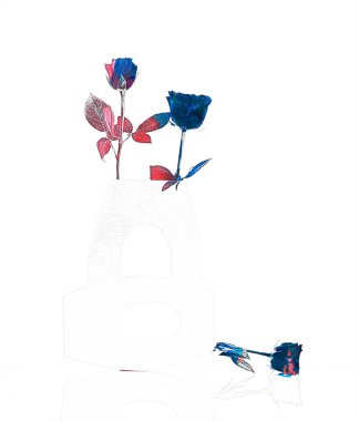 Dijital sanatsal illüstrasyon - Beyaz arka planda farklı açılara yerleştirilmiş ve renkli güllerle dolu iki vazonun suluboya ve kalem çizimi