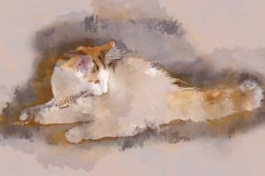 Dijital sanatçılık - Norveç Ormanı 'nda tüyle oynayan bir kedi yavrusunun suluboya resmi