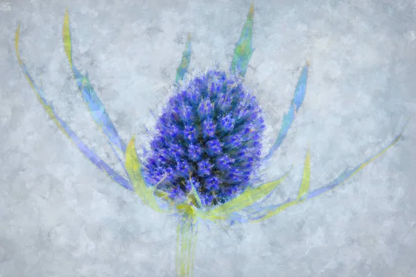 Illustration Artistique Numérique Peinture Aquarelle Abstraite Une Fleur Houx Mer — Photo