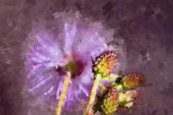 Ψηφιακή Καλλιτεχνική Απεικόνιση Αφηρημένη Ακουαρέλα Ζωγραφικής Ενός Λουλουδιού Αγκάθια Που — Φωτογραφία Αρχείου