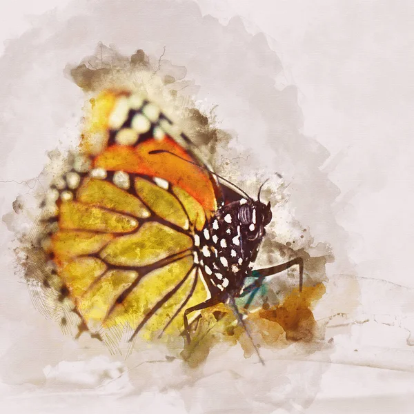 Aquarelle Numérique Papillon Monarque Assis Sur Une Feuille — Photo