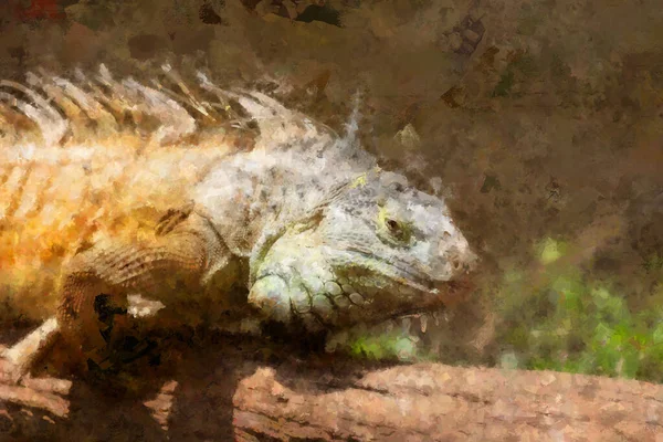 Digital Artistry Illustration Abstract Watercolor Painting Large Bearded Dragon Sitting — Stock Photo, Image