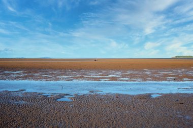 Mackay, Queensland, Avustralya - Nisan 2020: Manastır-19 Coronavirus zorunlu izolasyon ve sosyal uzaklık sırasında egzersiz için köpeğini kumsalda gezdiren kadın
