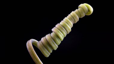 Çarkıfelek meyvesindeki kıvrım, siyah bir arka planda izole.