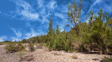 Avustralya kırsalında kuru ve taşlık bir dere yatağı güzel mavi bulutlu bir gökyüzünün altında