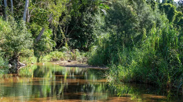Ein Stiller Und Ruhiger Landbach Mit Dichter Vegetation Seinen Ufern — Stockfoto