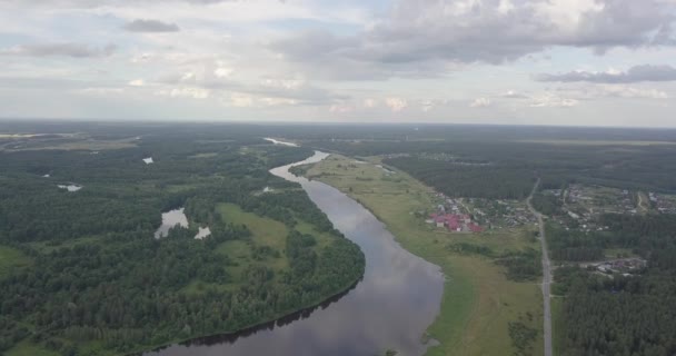 Aerial survey over the river on the sides of a green forest — Stock Video