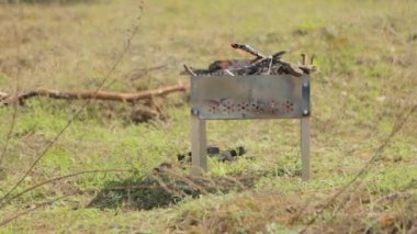 Ateşin yandığı barbekü, yeşil çimlerin üzerinde duruyor..