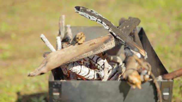 Barbecue waarin een brand brandt, veel brandhout met kolen — Stockvideo