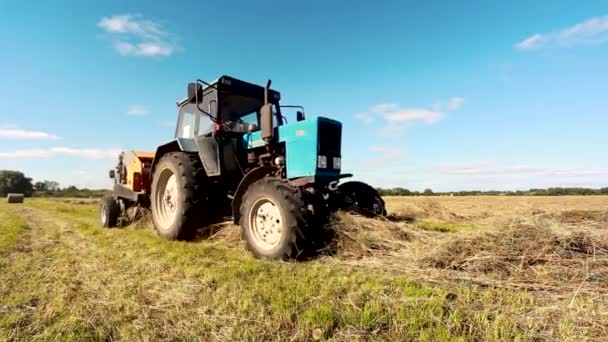 農業機械は畑を耕し、収穫装置は畑で働き、トラクターは畑で働く. — ストック動画