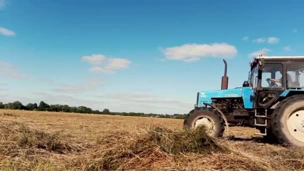 A mezőgazdasági gépek szántóföldeket művelnek.A terepen működik a betakarító berendezés.A traktor terepen utazik.. — Stock videók