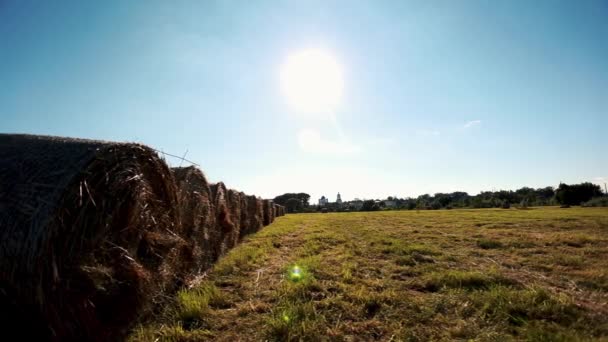 Haystack agricultura campo paisaje.Maquinaria agrícola cultiva campos . — Vídeo de stock