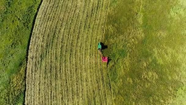 Havada toz çöpüyle buğday toplayan bir hasatçı. Tarım. Traktör tarlada gezintiye çıkıyor. Yukarıdan. — Stok video