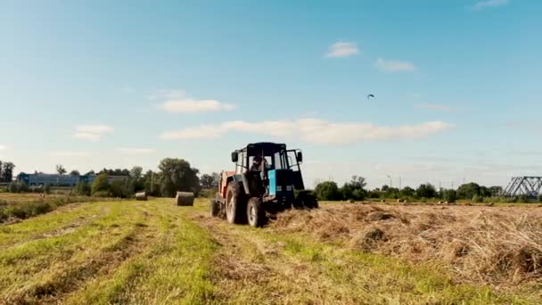 Ciągnik przygotowuje się.Urządzenia do zbiorów pracują na polach.Ciągnik jeździ po polu. — Wideo stockowe