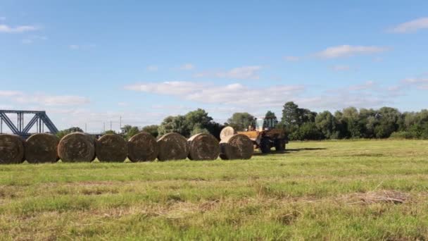 Ciągnik jeździ na polach.Agricultural Machinery Handles Haystack.Harvesting sprzęt działa na polu. — Wideo stockowe
