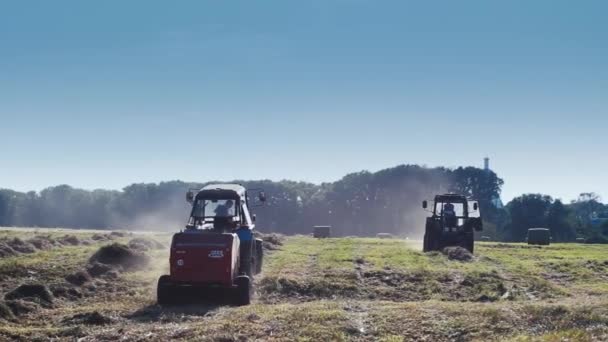 Production céréalière.L'équipement de récolte fonctionne sur le terrain.Les tracteurs travaillent sur le terrain . — Video