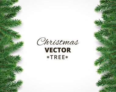 Vektör Noel ağaç dalları ve metin için yer ile arka plan
