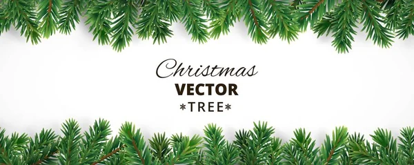 Banner com ramos de árvore de natal vetorial e espaço para texto . — Vetor de Stock