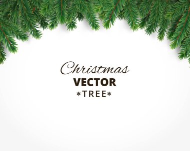 Vektör Noel ağaç dalları ve metin için yer ile arka plan