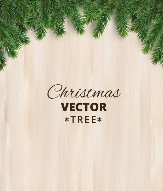 Ahşap arka plan, vektör çizim üzerinde Noel ağacı dalları