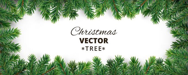 Banner with vector christmas tree branches and space for text.