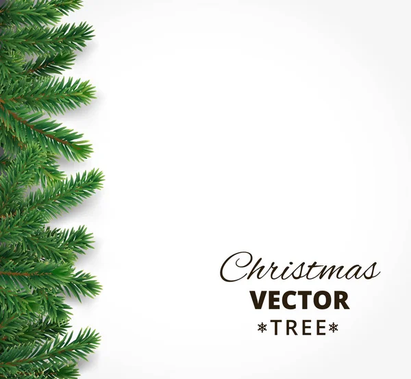 Arrière-plan avec branches vectorielles d'arbre de Noël et espace pour le texte — Image vectorielle