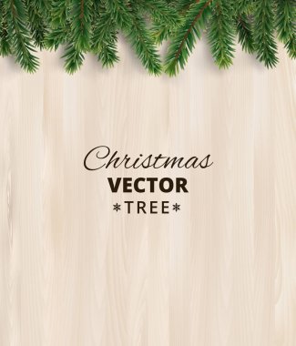 Ahşap arka plan, vektör çizim üzerinde Noel ağacı dalları