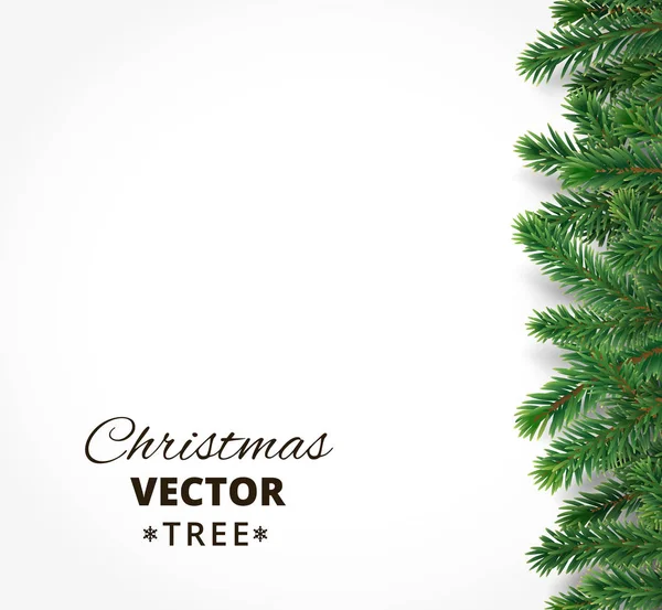 Фон с векторными ветвями елки и местом для текста — стоковый вектор