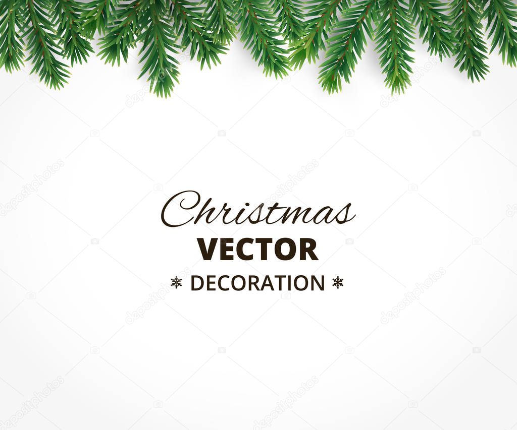 Background with vector christmas tree branches and space for text