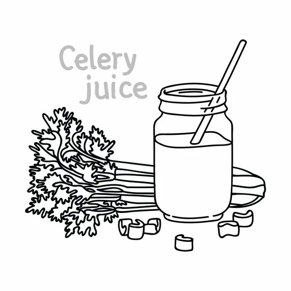 Mason kupa vektöründe taze kereviz suyu.