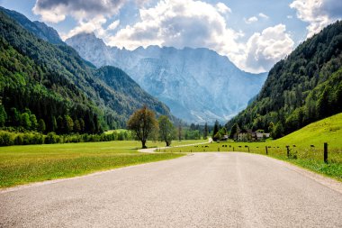 Alpler üzerinden yol.
