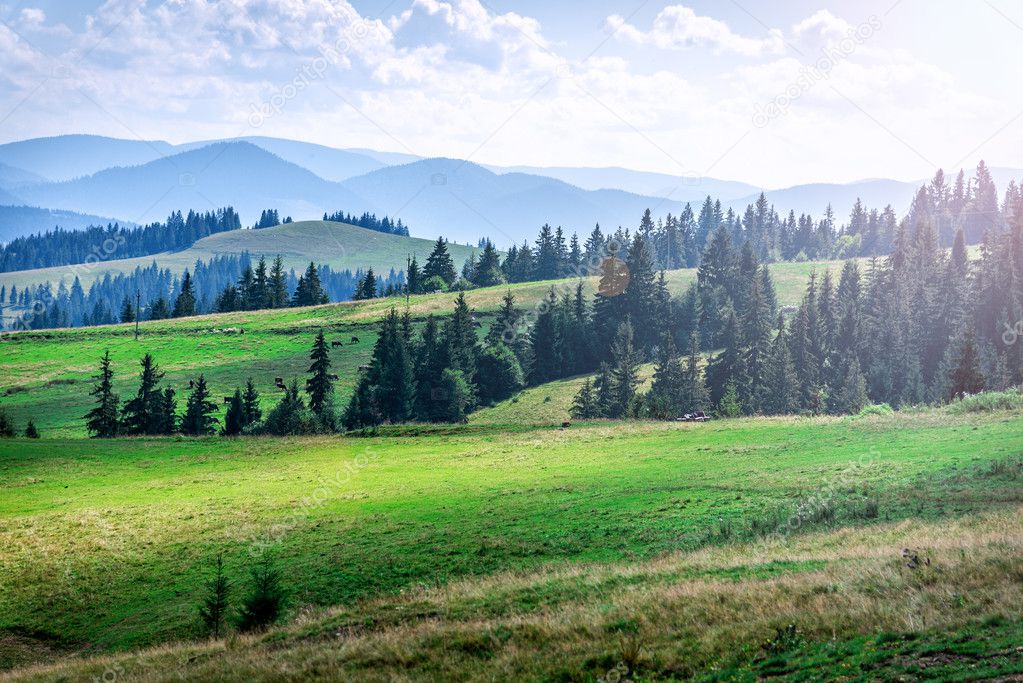 Sunset in the mountains landscape. Dramatic sky. Carpathian, Ukraine, Europe.