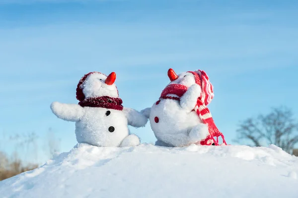 Um par de bonecos de neve — Fotografia de Stock