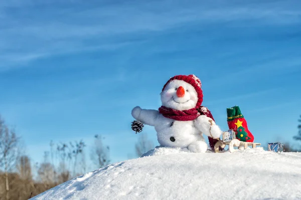 Muñeco de nieve feliz con sombrero — Foto de Stock