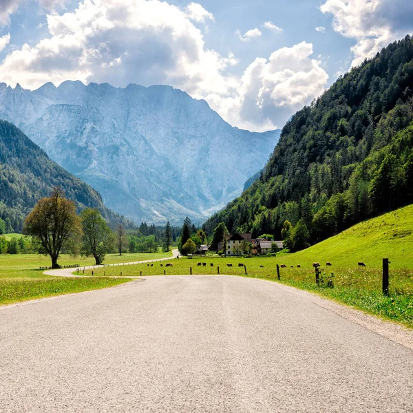 Estrada através de alpes . — Fotografia de Stock