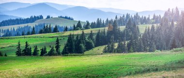Gün batımı ve dağlar yatay olarak. Dramatik gökyüzü. Karpat, Ukrayna, Europe.