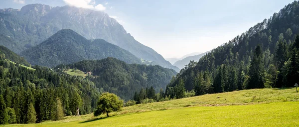 Valle de montaña con árboles verdes —  Fotos de Stock