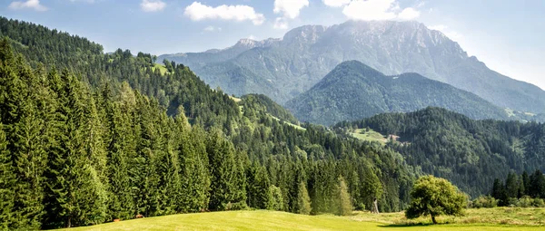 Valle de montaña con árboles verdes —  Fotos de Stock