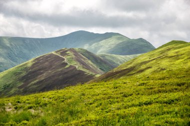 Şaşırtıcı Karpat Dağları
