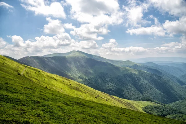 Incríveis montanhas dos Cárpatos — Fotografia de Stock