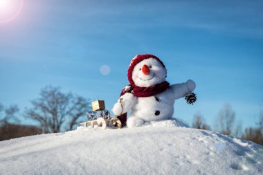 Şapka ile mutlu kardan adam