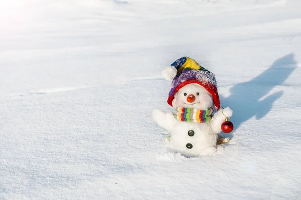 Gelukkig sneeuwpop met hoed — Stockfoto