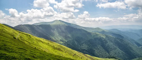 Şaşırtıcı Karpat Dağları