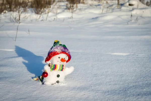 Boneco de neve feliz com chapéu — Fotografia de Stock