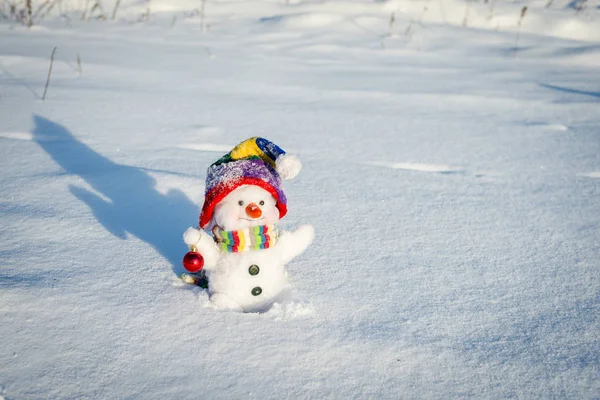 Χαρούμενος χιονάνθρωπος με καπέλο — Φωτογραφία Αρχείου