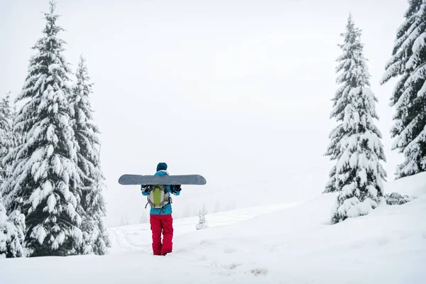 Сноубордистська дівчина стоїть зі сноубордом , — стокове фото