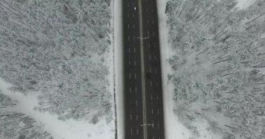 Uçuş yol araçları ile yukarıda. 4k