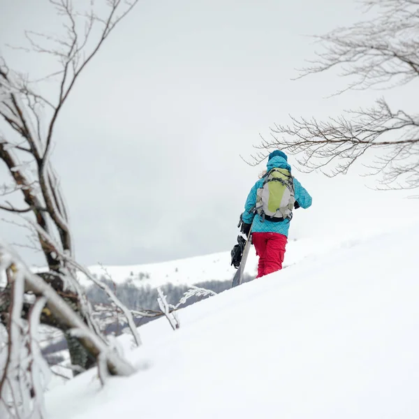 Genç kadın snowboard üzerinde — Stok fotoğraf